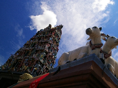 IMGP9139+.jpg