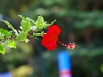IMGP8268+.jpg