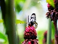 IMGP8447+.jpg