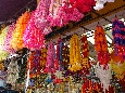 IMGP8947+.jpg