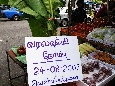 IMGP8973+.jpg