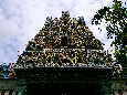 IMGP8980+.jpg