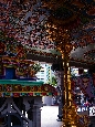 IMGP9013+.jpg