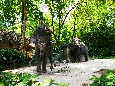 IMGP7981+.jpg