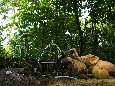 IMGP8114+.jpg