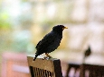 IMGP7956+.jpg