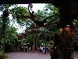 IMGP9285+.jpg