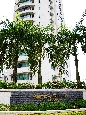 IMGP8560+.jpg