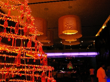IMGP4242+.jpg