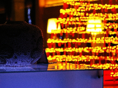 IMGP4274+.jpg