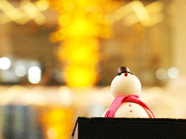 IMGP4531+.jpg