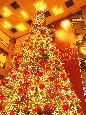 IMGP4799+.jpg