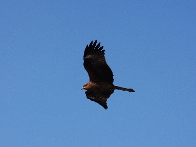6J3P0153+.jpg