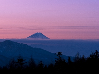 6J3P0441+.jpg