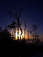IMGP6411+.jpg