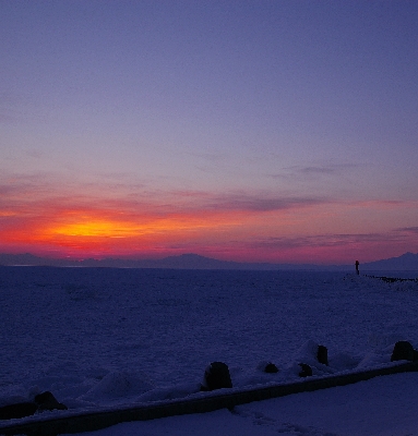 IMGP7373+.jpg