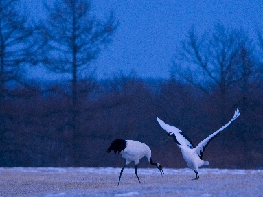 6J3P2983+.jpg