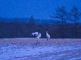6J3P2970+.jpg