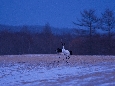 6J3P2972+.jpg