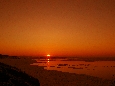 IMGP7334+.jpg