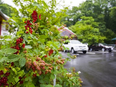 6J3P8243+.jpg