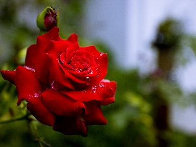 6J3P8249+.jpg