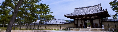 6J3P0178+.jpg