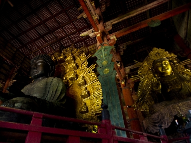 6J3P0552+.jpg