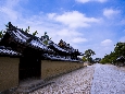 6J3P0174+.jpg