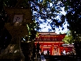6J3P0412+.jpg
