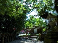 6J3P0421+.jpg
