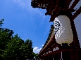 6J3P0505+.jpg