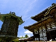 6J3P0528+.jpg