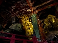 6J3P0552+.jpg