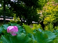 6J3P0595+.jpg