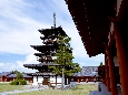 6J3P0662+.jpg
