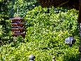 6J3P0839+.jpg