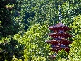 6J3P0859+.jpg
