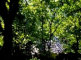 6J3P0873+.jpg