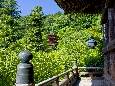 6J3P0817+.jpg