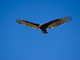 6J3P2160.jpg