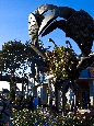 6J3P2244.jpg