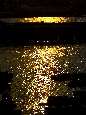 6J3P2299.jpg