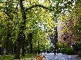 6J3P3523.jpg