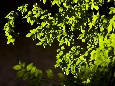 6J3P3621.jpg