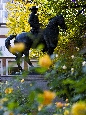 6J3P3648.jpg