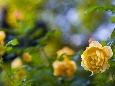 6J3P3647.jpg