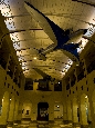 6J3P3854.jpg