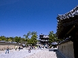 6J3P9699+.jpg
