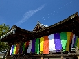 6J3P9723+.jpg